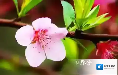 2018春分朋友圈说说图片大全