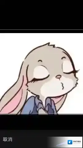 《洋码头》更换头像的方法介绍