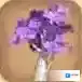迷你世界珍木树苗怎么获取 珍木树苗获取途径介绍