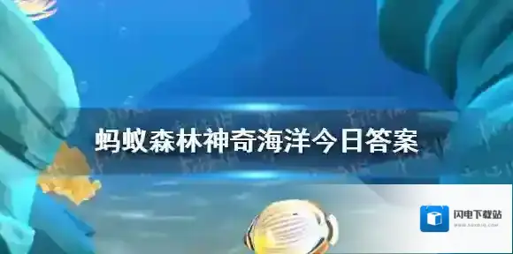 海龟是温血动物吗 蚂蚁森林神奇海洋今日答案3.14最新