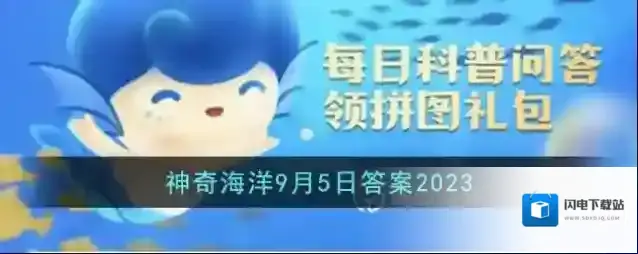 海龟的导航能力与哪一地球特性最为相关