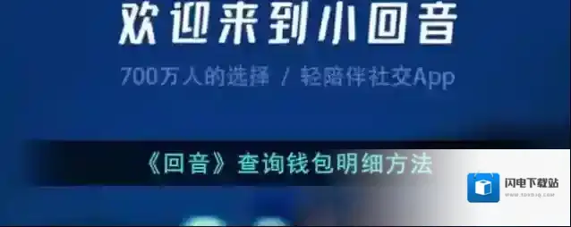《回音》查询钱包明细方法